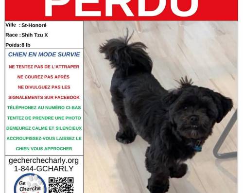 Publier une annonce